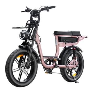 Meilleur prix Bicicleta Eletrica C28 Vélo électrique de ville 250W Vélo électrique à pneus larges 48V 20 pouces Frein à disque double Vélo hybride électrique pour femme - Product Image 3