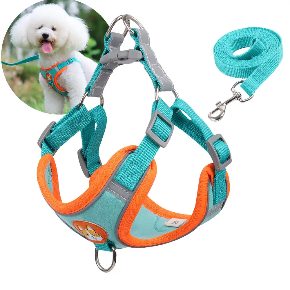 最も人気のある卸売ペット屋外安全怪我に対して快適プル犬ロープベストタイプウォーキングストラップキット