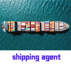 Express Delivery Shipping Agent China To Congo Cyprus Gambia Poland Ecuador