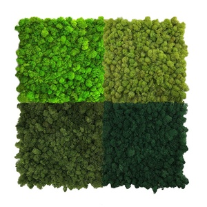 Décoration intérieure, mur végétal, décoration de bureau, plantes naturelles réelles, panneau de mousse stabilisée et préservée - Product Image 4