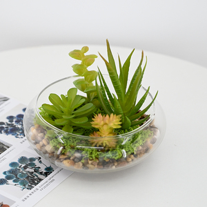14cm Artdragon Suspendu Intérieur <span class=keywords><strong>Plante</strong></span> Succulente Artificielle Ronde En <span class=keywords><strong>Verre</strong></span> Globe Terrarium <span class=keywords><strong>Boule</strong></span> pour La Décoration <span class=keywords><strong>De</strong></span> La Maison - Product Image 3