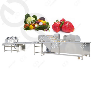Gelgoog Industrial Vegetables Washer Spray Dry Fruit Peach Washing Machine Strawberry Cleaning Machine