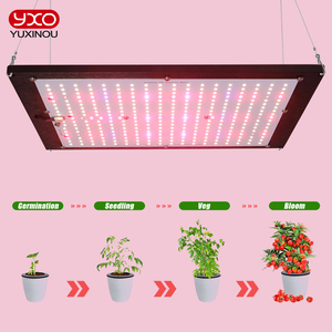Lámpara de crecimiento Led de espectro completo infrarrojo <span class=keywords><strong>ultravioleta</strong></span> hidropónico 120W 240W Lm301h lámpara de crecimiento Led última <span class=keywords><strong>luz</strong></span> de cultivo interior EVO - Product Image 4
