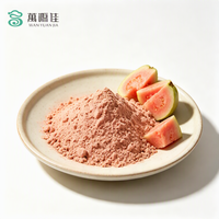 Premium Gefreeze-droogde Guavapoeder, Hoog in Vitamine C, Non-GMO, Zuiver Fruitpoeder voor Supplementen