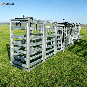 Sistema di gestione del bestiame a 3 vie con cancelli manuali per le bestiamecalle australiane - Product Image 6
