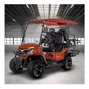 Véhicule de golf personnalisé 6 places avec grand écran, économique, pour le tourisme et les excursions, meilleur prix, certifié DOT - Product Image 2