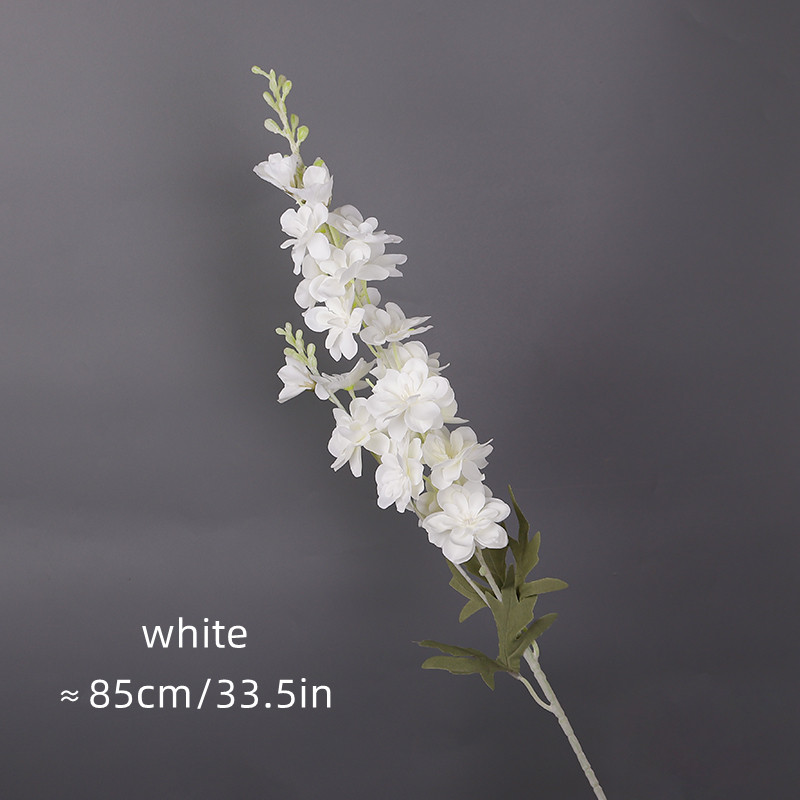 Delphinium-bianco