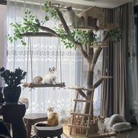 Arbre à chat en bois massif robuste pour les gros chats - Multifonctionnel avec poteau à gratter, maison et lit pour chat, utilisation toute l'année