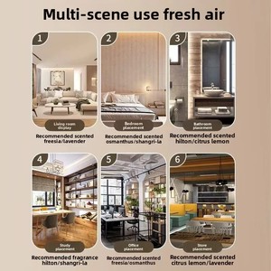 Bán Buôn 100Ml Flameless Hương Liệu Thủy Tinh Tinh Dầu Reed Khuếch Tán Bộ Nhà Phòng Ngủ Nhà Vệ Sinh Hương Thơm Cho Bán Buôn - Product Image 3