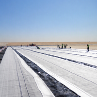 Géomembrane en argile synthétique (GCL) Bentonite pour les projets de terrassement routier et d'infrastructure