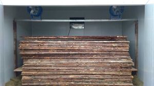 KINKAI Wärmepumpe hocheffizienter Holzofen Trockner Guanacaste Holzofen Trockenofen Holz Western Red Cedar Holztrockner - Product Image 6