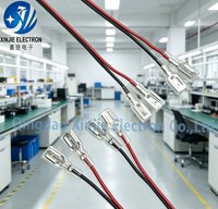Kabel Harness Konektor Spade Betina 4.8mm 6.3mm Custom, Kabel UL1007 Merah Hitam Berisolasi PVC dengan Terminal Crimp untuk Kelistrikan