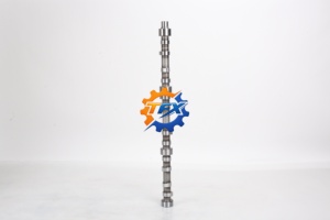 Arbre à cames du moteur S6K 3066 pour pièces d'excavatrice E320C - Product Image 4