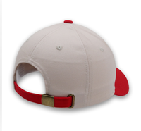 Casquette de baseball personnalisée OEM avec slogan brodé, bicolore, 6 panneaux, réglable, décontractée, unisexe, style papa, en velours de luxe