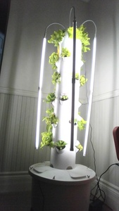 Système de culture hydroponique intelligent pour plantes d'intérieur, petite <span class=keywords><strong>serre</strong></span> domestique, jardin d'herbes aromatiques, éclairage de croissance, systèmes de culture hydroponique - Product Image 4