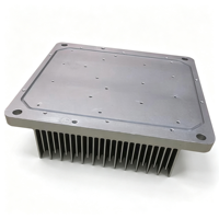 Radiateur de refroidissement en aluminium avec plaque à bride intégrée sur mesure, usinage CNC, perçage, extrusion, dissipateur thermique pour amplificateur de puissance