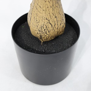 Offerta Speciale: Albero di Ulivo Artificiale <span class=keywords><strong>da</strong></span> 6ft/5ft per Decorazione Casa e <span class=keywords><strong>Giardino</strong></span> - Product Image 5