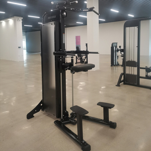 <span class=keywords><strong>Dhz</strong></span> Dip Chin Assist Assisted Chin Dip Machineassisted Pull up Machine Gymassist Dip Chinassisted Pull up Machine - Product Image 5