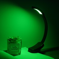 Lampe de nuit LED pour la protection des yeux Mini lampe de bureau à clipser Utilisation d'une batterie au lithium Flexible pour la chambre à coucher Lampe de lecture