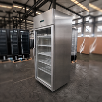 Réfrigérateur vertical pour boissons, vitrine à porte vitrée simple, OEM