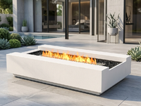 Table de foyer décorative moderne en acier multi-combustibles (bois/gaz) pour usage intérieur/extérieur dans les villas et les maisons d'hôtes