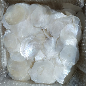 เปลือกหอยธรรมชาติ3-11ซม.,เปลือกหอย Capiz สีขาวสะอาดขายส่งฟิลิปปินส์สำหรับตกแต่งบ้านทำเครื่องประดับ