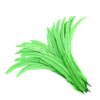 Plumes de coq en gros de 16-18 pouces, mélange de couleurs pour l'artisanat DIY, décorations de costumes de carnaval et de festival de samba