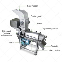 Extracteur de jus de fruits Commercial, Machine de pressage de jus de fruits