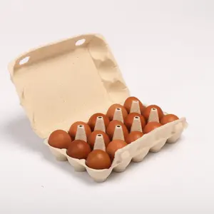 New Design Vietnam Hot selling paper pulp molding paper tray Molded Pulp Tray Egg Product Packaging Made In Vietnam