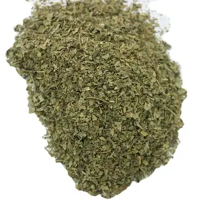 Natural loose Sifted spice holy Basil Leaf Cut for sale