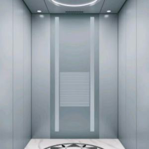 Ascenseur résidentiel intérieur fabriqué en Chine, ascenseur pour maison et bureau avec cabine en acier inoxydable et mouvement silencieux - Product Image 3