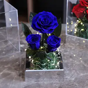 Best Selling Stem Preserve Supplier Flower Real Acrylic Preserved Rose In Box