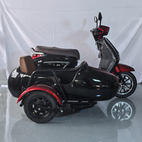 Fournisseur Fabricant de Scooter Électrique Panoramique à Side-car, Tricycle Électrique, Contrôleur de Module 1500W 40A, Capacité de Charge 110kg