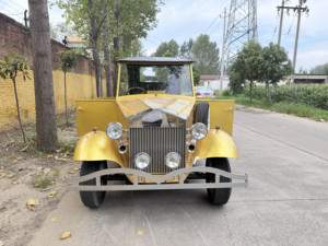 Voiture électrique classique à une rangée de sièges, personnalisée haut de gamme, fabrication chinoise, exquise finition, longue durée de vie, basse vitesse - Product Image 3