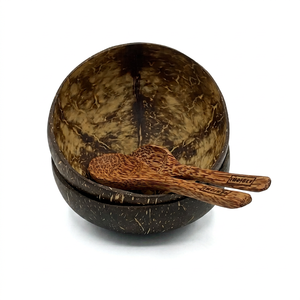 Bol à smoothie en noix de coco poli fait main en gros, bol en coque de noix de coco naturel et écologique, ensemble de vaisselle gravé avec logo personnalisé - Product Image 1