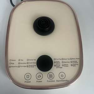 Théière en verre de grande capacité et multifonctionnelle avec élément filtrant pour la santé, pour la cuisine et l'usage domestique - Product Image 5