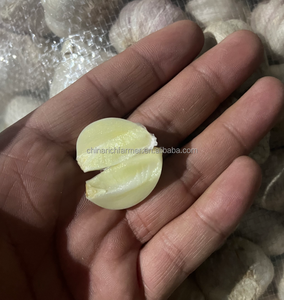 Tỏi trắng tuyết trắng tinh khiết - Product Image 4