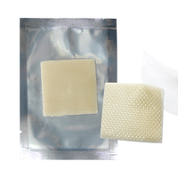 Produits de haute qualité patch vitamine b12 supplément patch énergétique