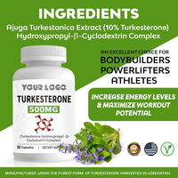 Complément alimentaire pour la croissance musculaire naturelle des adultes, la récupération et la force physique, augmentation de la masse musculaire, capsules de Turkesterone 500 mg (90 capsules)