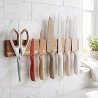 Ensemble de couteaux de cuisine en acier inoxydable durable et écologique, 7 pièces, manches colorés, couteau Santoku, ciseaux pour la cuisine
