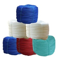 100 Yards 2mm 3mm 4mm 5mm 6mm Usine HDPE Plastique Bleu Blanc Rouge Jaune Nylon PP PE Corde Torsadée pour Emballage et Filet de Pêche