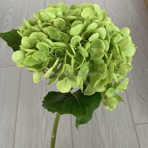 B-729 <span class=keywords><strong>Comprar</strong></span> al por Mayor Decoración para el Hogar, Hortensia Verde Artificial, Flores de Tacto Natural, Tallo Único, Rama Larga, Hortensia de Látex - Product Image 5