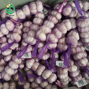Solicitar presupuesto de verduras Liliáceas paquete pequeño 200g/250g/500g/1kg Alho Ajo ajo fresco elefante ajo para venta al por mayor - Product Image 4