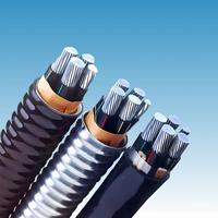 Flammhemmendes YJLV22 0,6/1kV Aluminium XLPE Armiertes Kabel für Industrieanlagen
