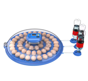Incubadora de Huevos Multicategoría Apta para Pollos, Patos, Gansos, Codornices y Loros - Product Image 1