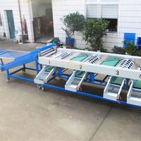 Hoge Kwaliteit Abrikoos Grader Fruit Sorteermachine Kalibratie Sizer Met Was En Classificatie Functies