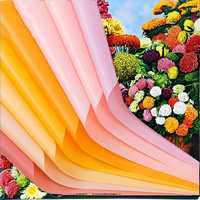 Emballage cadeau recyclable transparent, papier enduit de PE, style coréen, emballage imperméable pour bouquet de fleurs, papier d'emballage de couleur unie