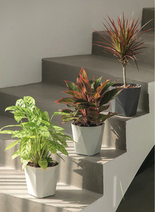 Modern <strong>Plastic</strong> <strong>Pot</strong> for Plants, Simple Flower <strong>Pot</strong> Floor <strong>Table</strong> for Hotel, pp <strong>Plastic</strong> Container Planter for Green Plants with Tray - Product Image 2