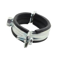 Colliers de serrage TJTF robustes et résistants, galvanisés, doublés de caoutchouc, 4 pouces, métriques, personnalisables, modèle 12 argent/or pour tuyaux en PVC