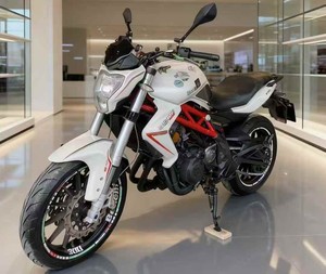 Motocicleta Deportiva Benelli Huanglong <span class=keywords><strong>300</strong></span> de Dos Cilindros en Línea, Refrigerada por Líquido, para Uso Diario - Product Image 1